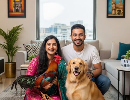 Tendencia creciente en Hyderabad: Parejas jóvenes eligen mascotas en lugar de hijos