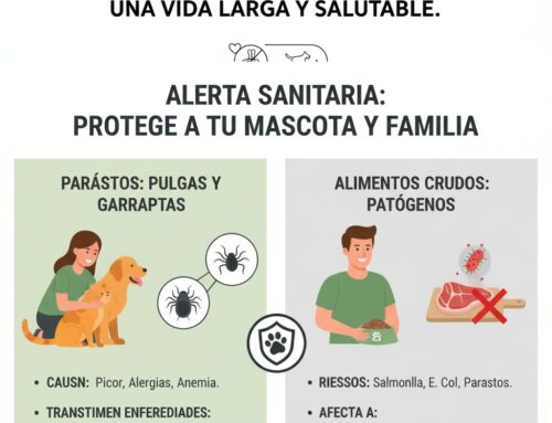 Alerta de Parásitos y Riesgos Alimentarios: Protegiendo a tu Mascota de Amenazas Ocultas