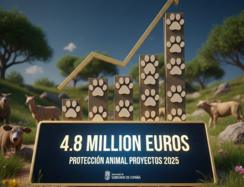 El Gobierno destina 4,8 millones de euros en 2025 a la protección animal en España